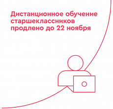 Столичные школьники с 6 по 11 класс продолжат дистанционное обучение до 22 ноября.